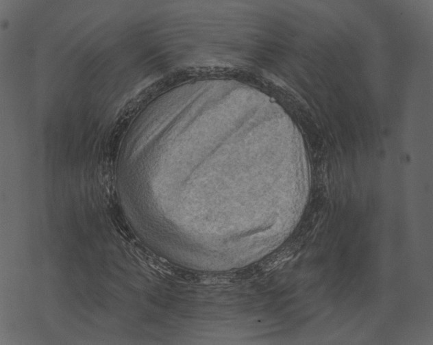 X0000073390870200608251432
