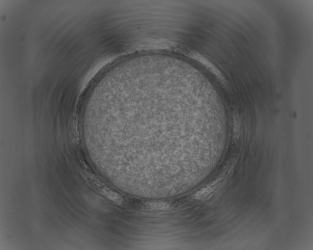 X0000073390878200608251431