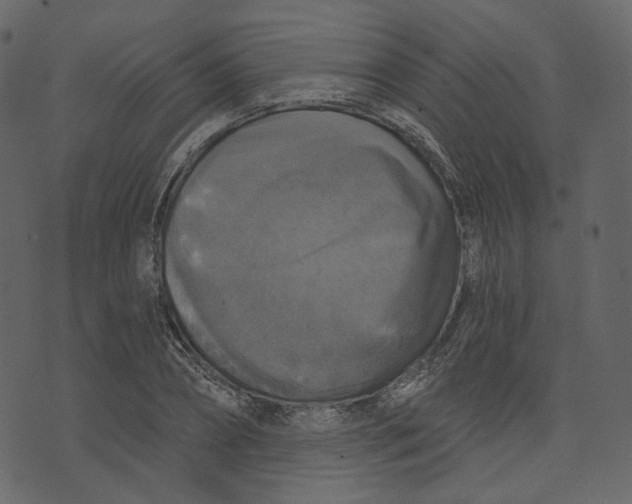 X0000073390882200608251431