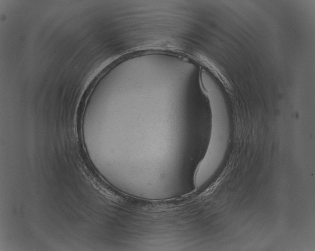 X0000073390884200608251431
