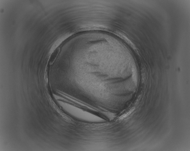 X0000073390885200608251431