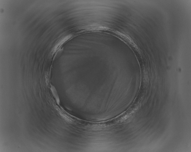X0000073390889200608251431