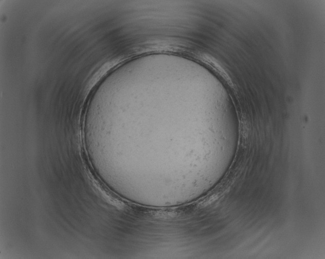X0000073390890200608251431