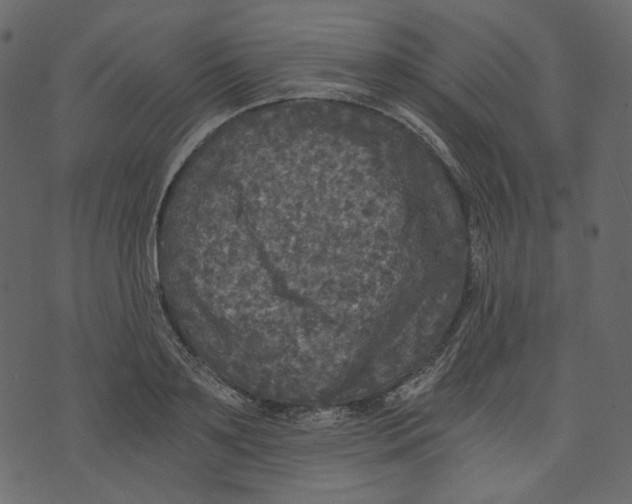 X0000073390891200608251431