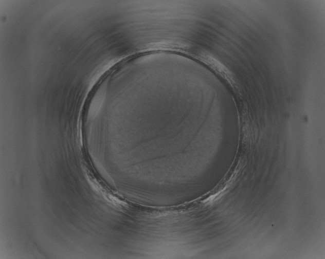 X0000073390892200608251431