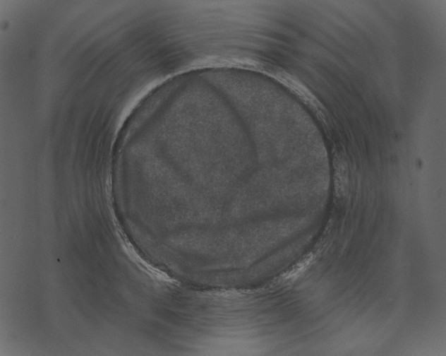 X0000073390896200608251431