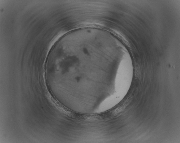 X0000073390899200608251431