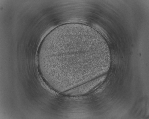 X0000073390900200608251431