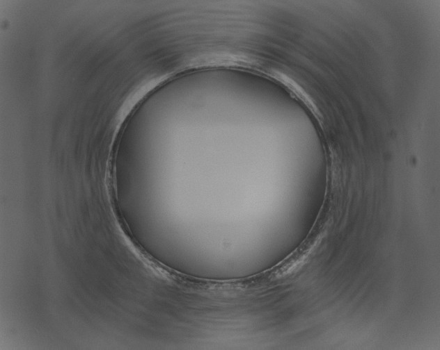 X0000073390901200608251431