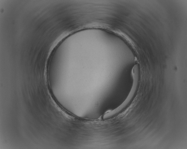 X0000073390902200608251431