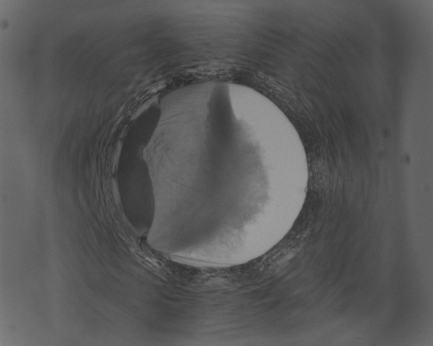 X0000073390913200608251430