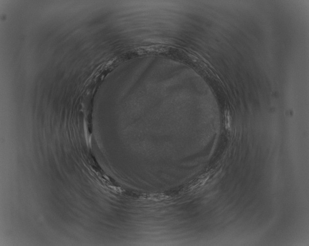 X0000073390915200608251430