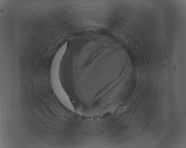 X0000073390916200608251430