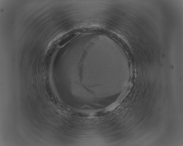 X0000073390920200608251430