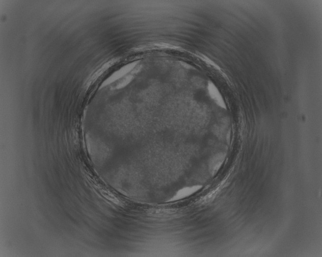X0000073390921200608251430