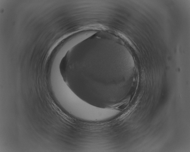 X0000073390923200608251430