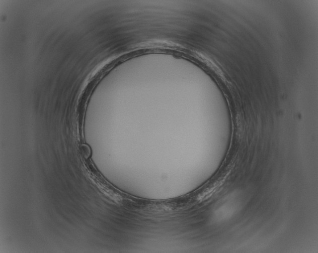 X0000073390931200608251430