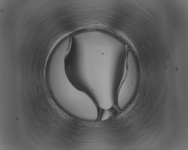 X0000073390932200608251430