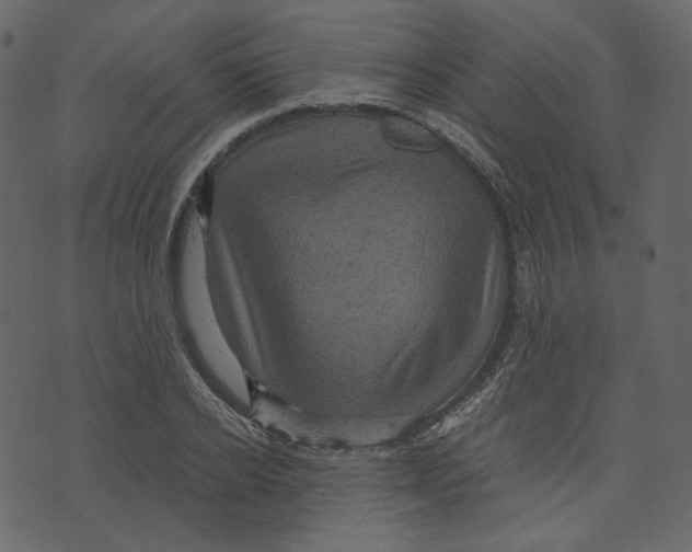 X0000073390934200608251430