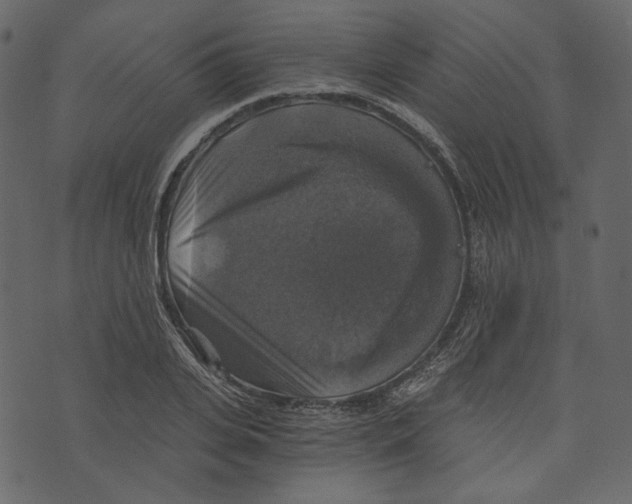 X0000073390935200608251430