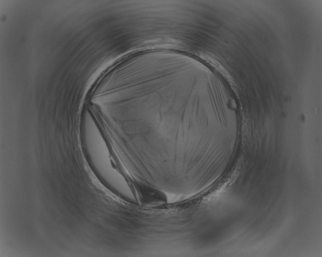 X0000073390941200608251431