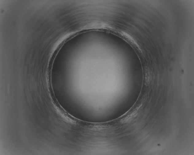 X0000073390942200608251431