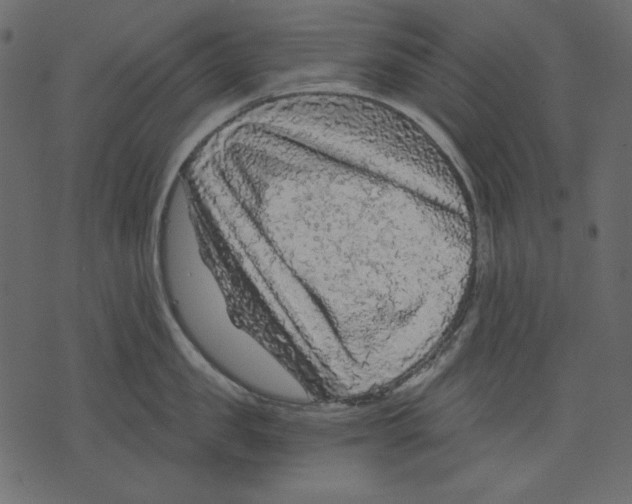 X0000073390957200608251431