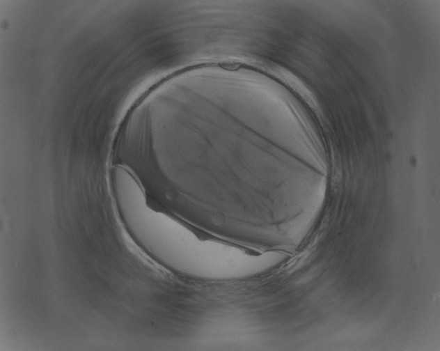X0000073390958200608251431