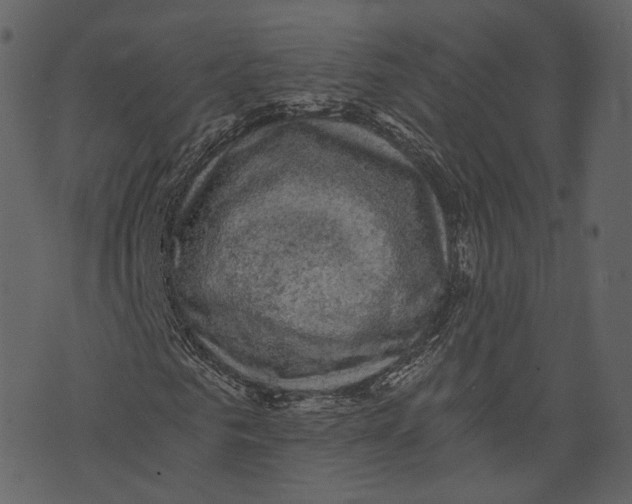 X0000073390961200608251430