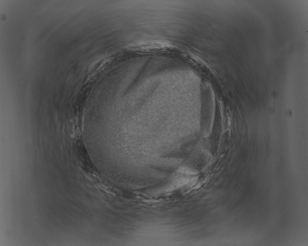 X0000073390965200608251430