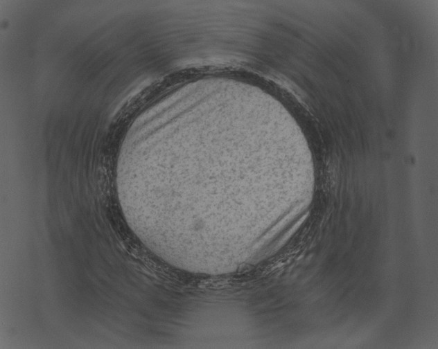 X0000073390967200608251430