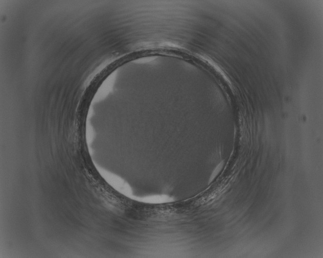 X0000073390975200608251430