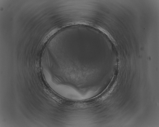 X0000073390977200608251430