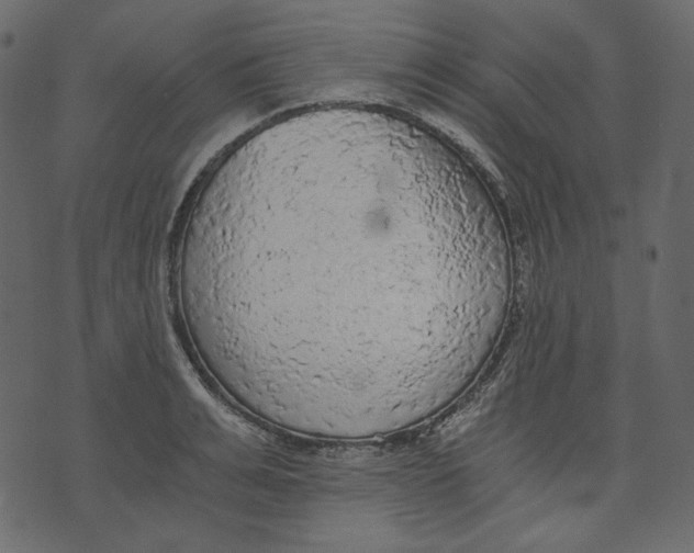 X0000073390991200608251430