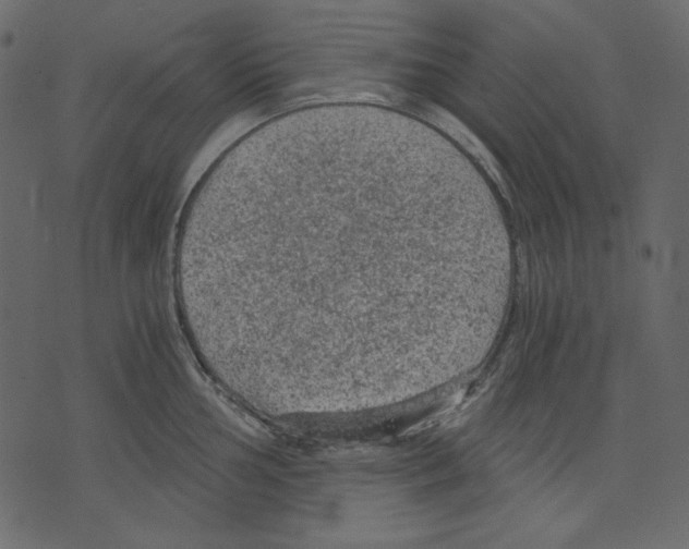 X0000073391002200608251429