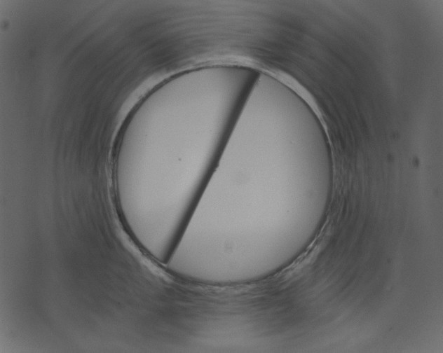 X0000073391005200608251429