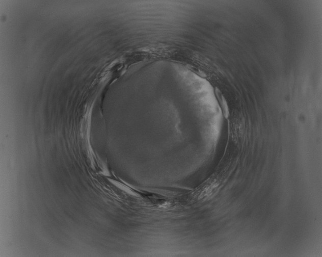 X0000073391010200608251428