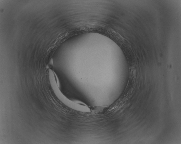 X0000073391012200608251428