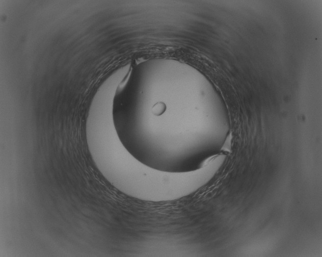 X0000073391013200608251428