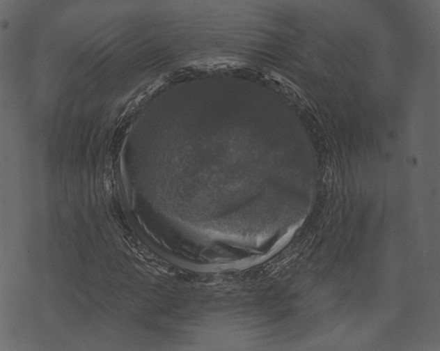 X0000073391014200608251428