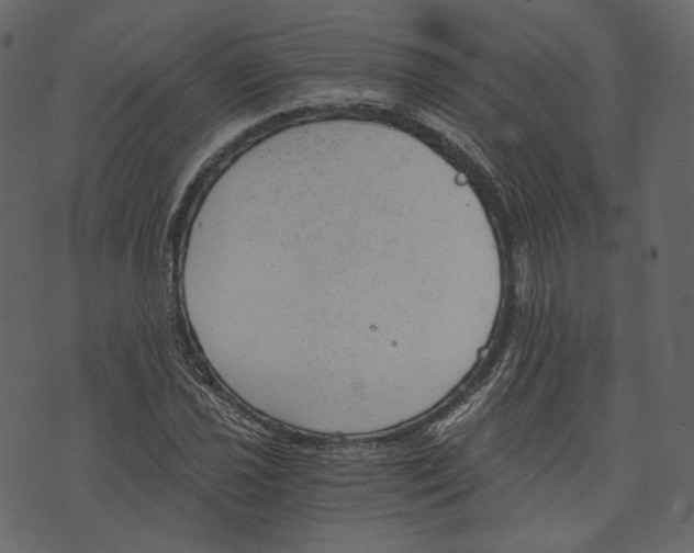 X0000073391021200608251429