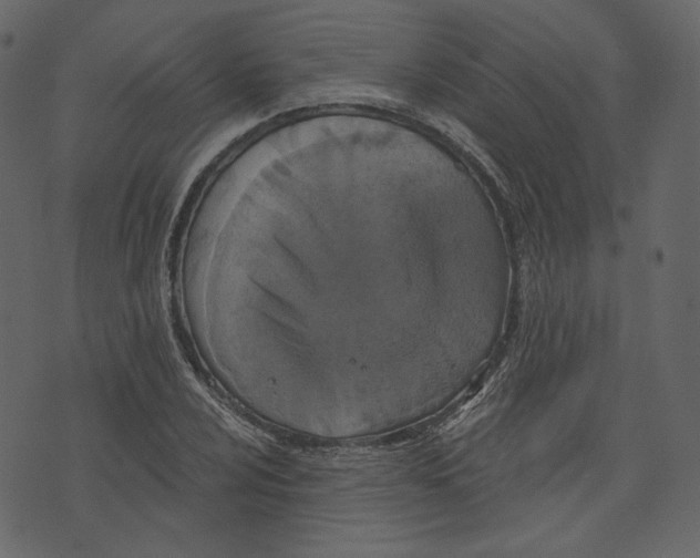 X0000073391024200608251429