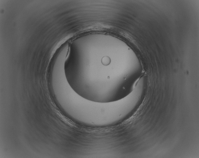 X0000073391026200608251429