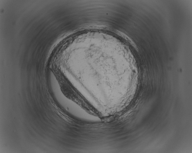 X0000073391027200608251429