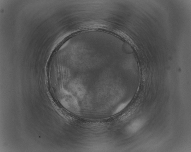 X0000073391031200608251429