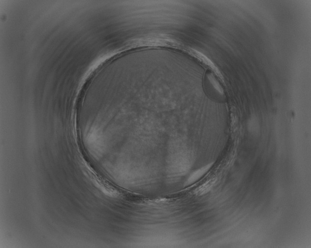 X0000073391035200608251429