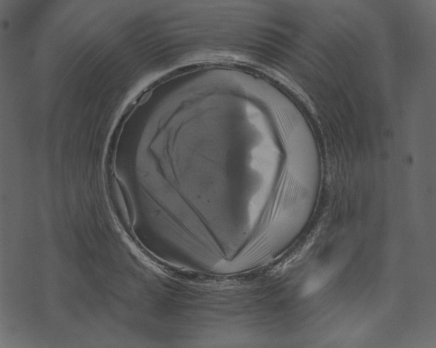 X0000073391037200608251429