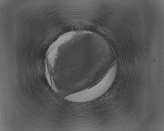 X0000073391060200608251428