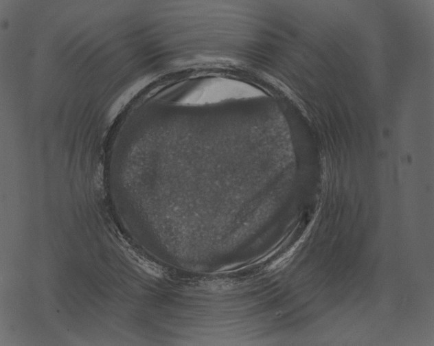 X0000073391066200608251428