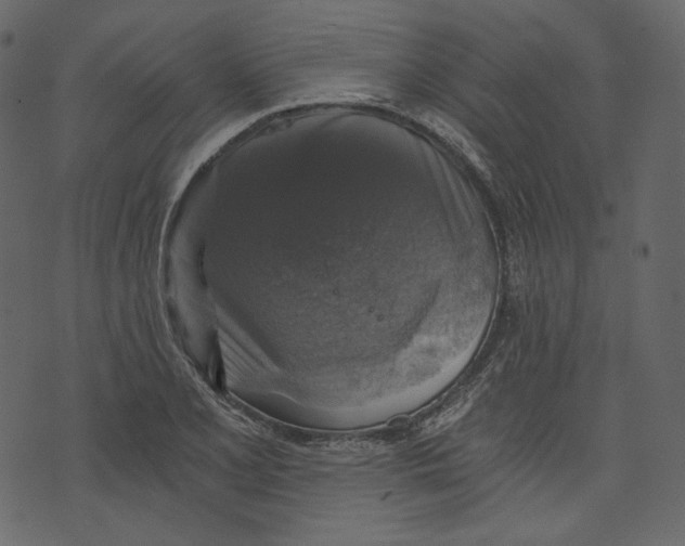X0000073391077200608251428